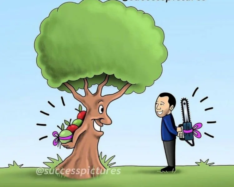 Read more about the article SAFCAM Communique #66 – English